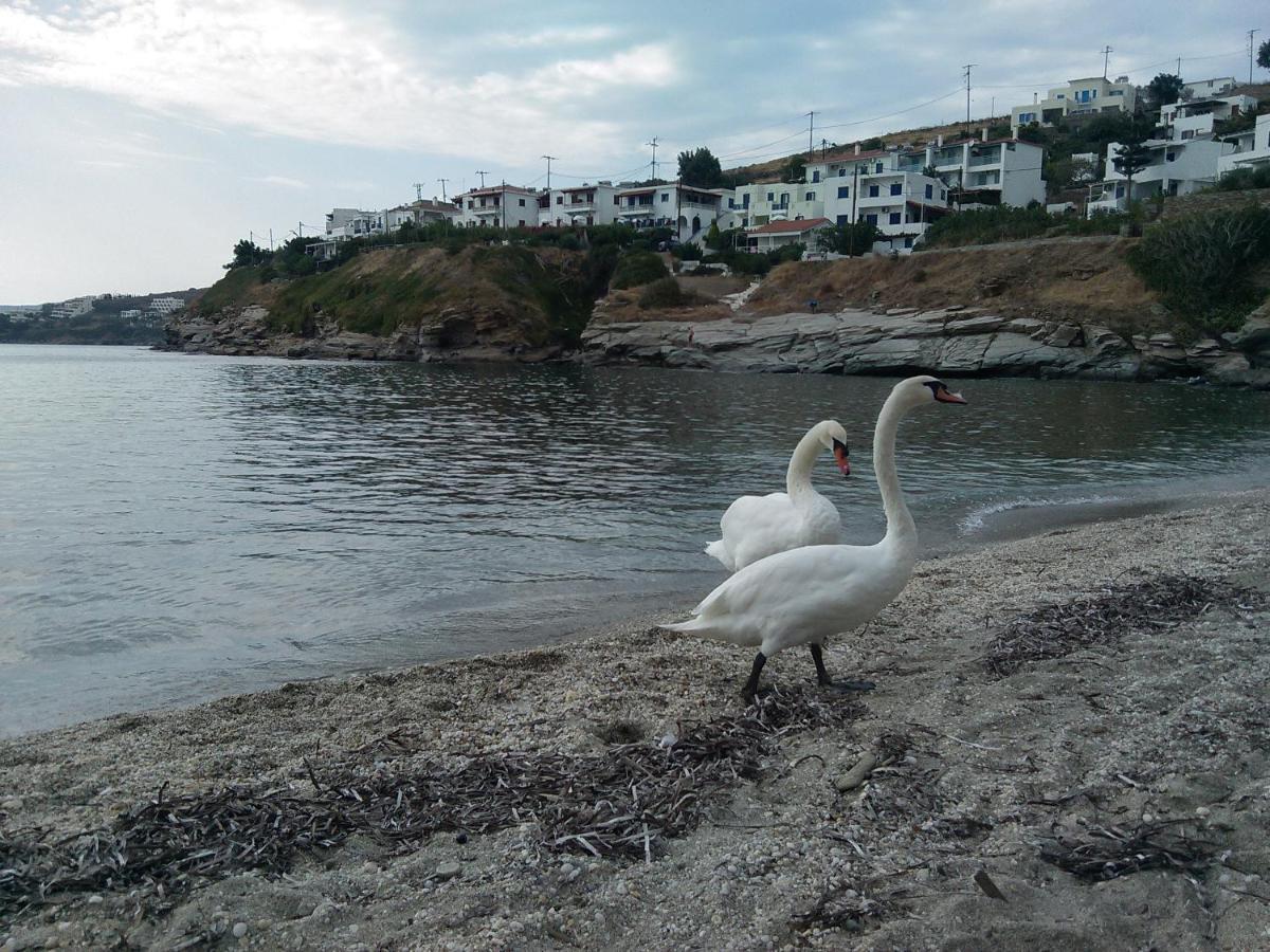 Villa Bonatsa Andros Home 巴特斯欧 外观 照片