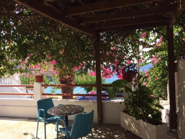 Villa Bonatsa Andros Home 巴特斯欧 外观 照片